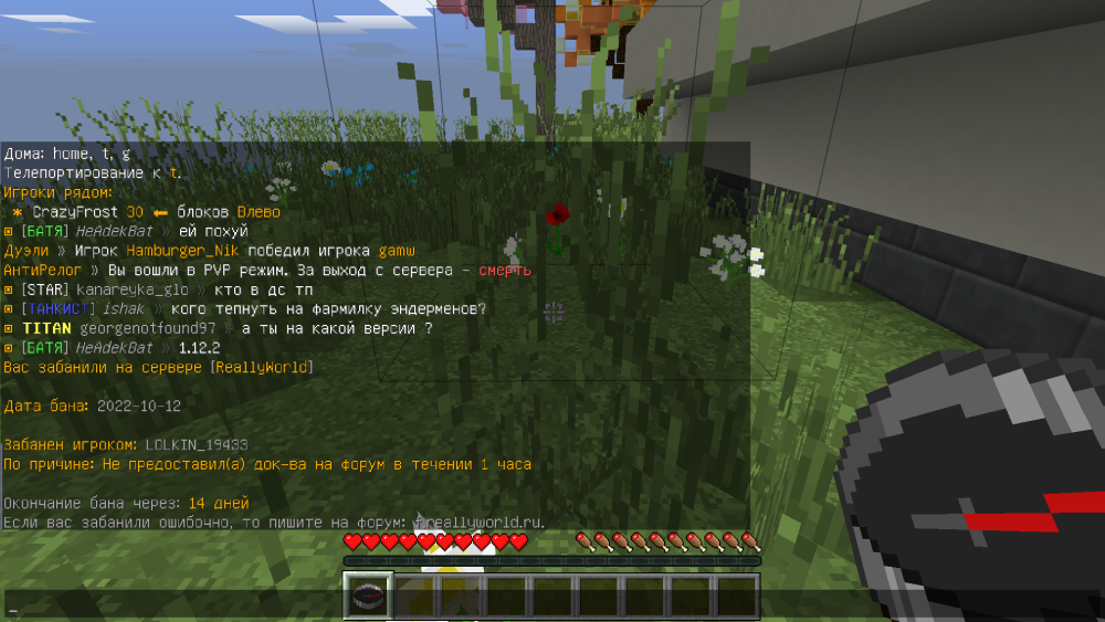 2008046574_Jre-legacyScreenshot2022_10.12-18_26_26_94.thumb.png.dd80a32d10090462dbdd2cf4389f27aa.png
