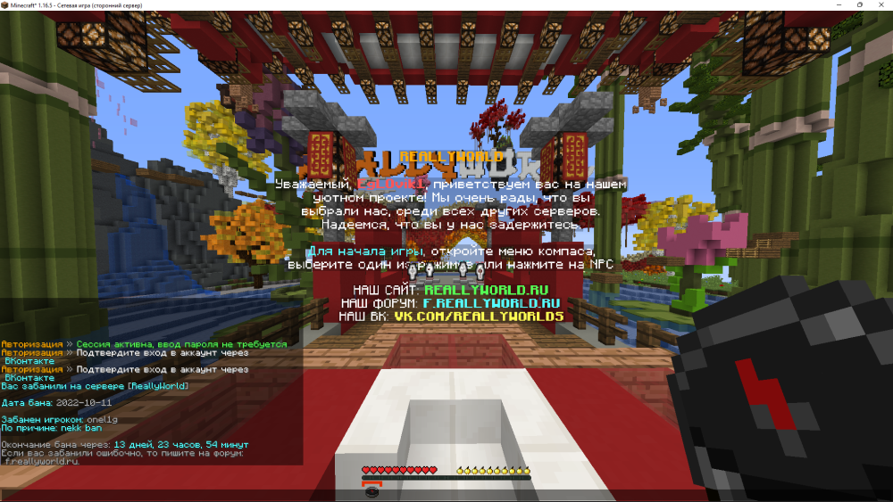 2022-10-11_21-54-20.thumb.png.47d6da6452be24a7ee8008366d3c424a.png