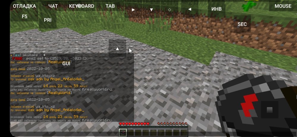Screenshot_2022-10-05-09-19-47-492_net.kdt.pojavlaunch.jpg