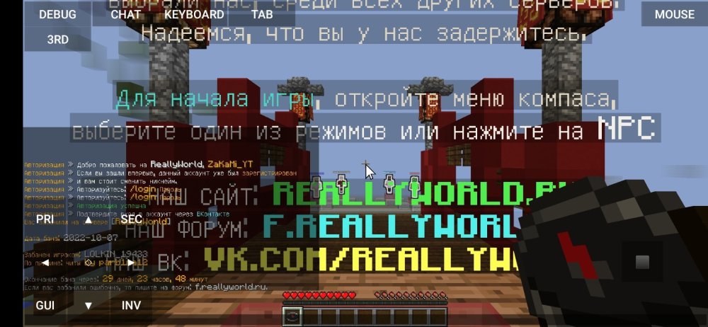 Screenshot_2022-10-07-19-51-24-314_net.kdt.pojavlaunch.jpg