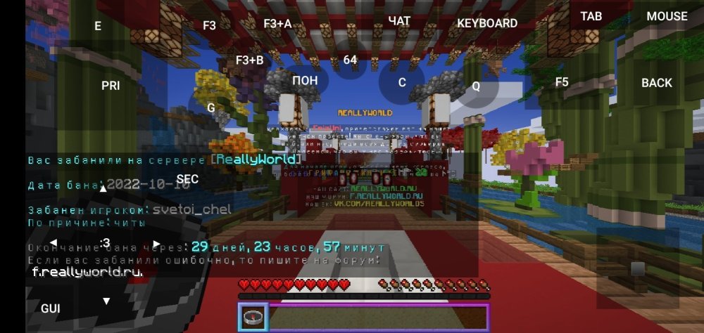 Screenshot_2022-10-10-15-00-47-039_net.kdt.pojavlaunch.debug.jpg