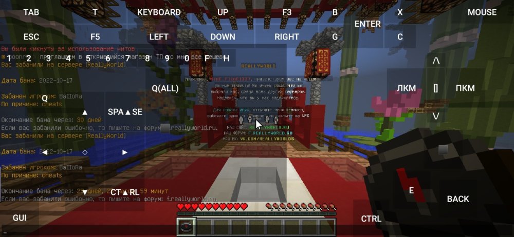 Screenshot_2022-10-17-20-03-20-225_net_kdt.pojavlaunch.thumb.jpg.3abf690a51dcb78e8601dea6159ef42c.jpg