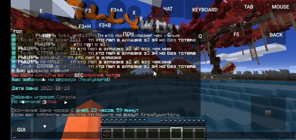 Screenshot_2022-10-18-19-44-39-533_net.kdt.pojavlaunch.debug.jpg