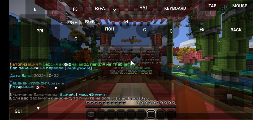 Screenshot_2022-10-23-12-43-29-160_net.kdt.pojavlaunch.debug.jpg