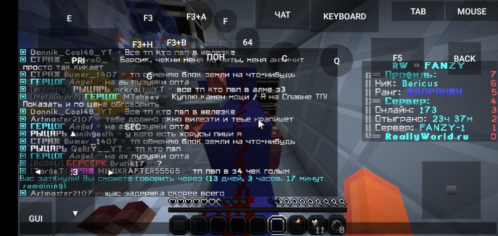Screenshot_2022-10-23-18-11-36-906_net.kdt.pojavlaunch.debug.jpg