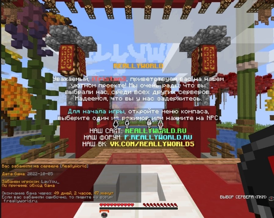 Screenshot_20221007_053846.jpg.ffe9428693f2367a8191c514251eadf9.jpg
