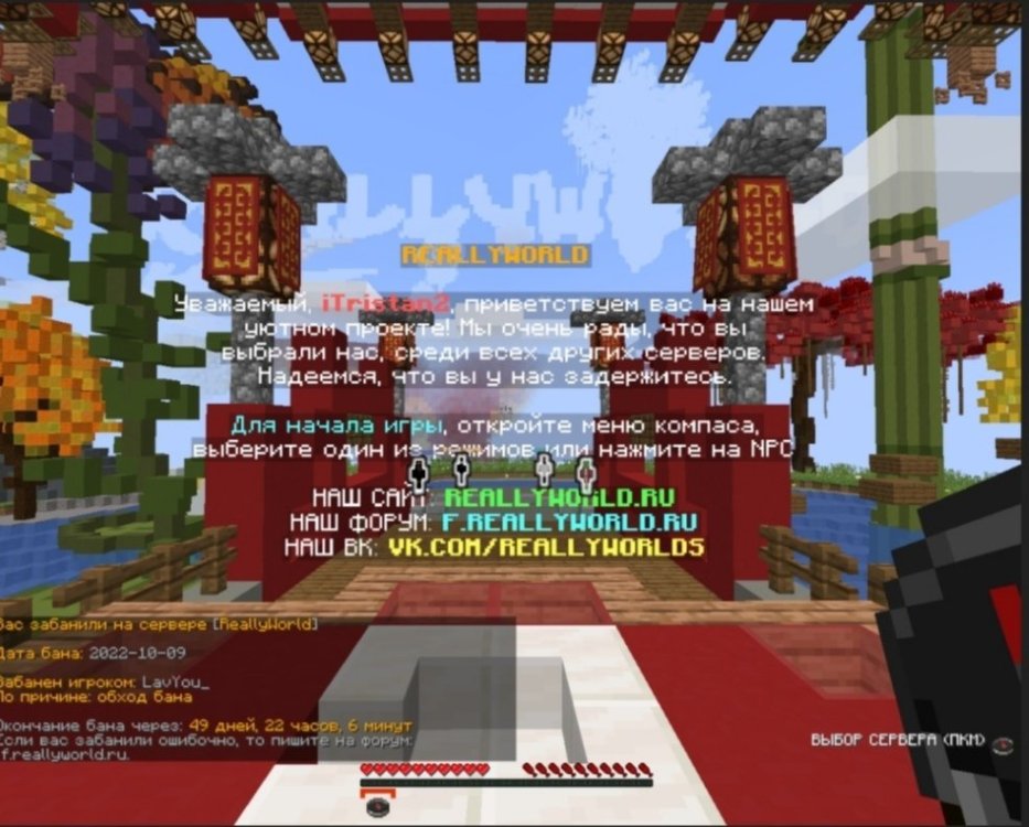 Screenshot_20221010_193507.jpg