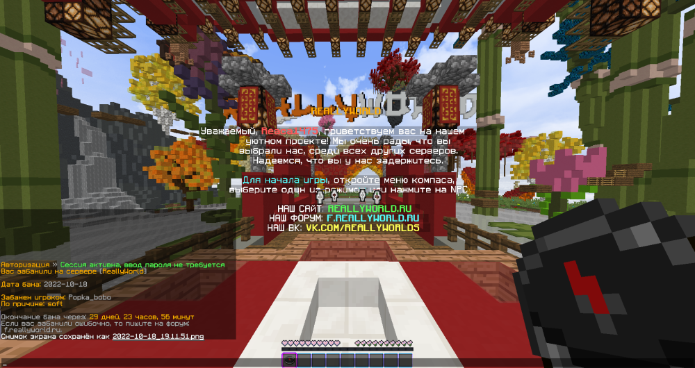 image.thumb.png.1267eaf174721a5ba2e2202e21b4238f.png