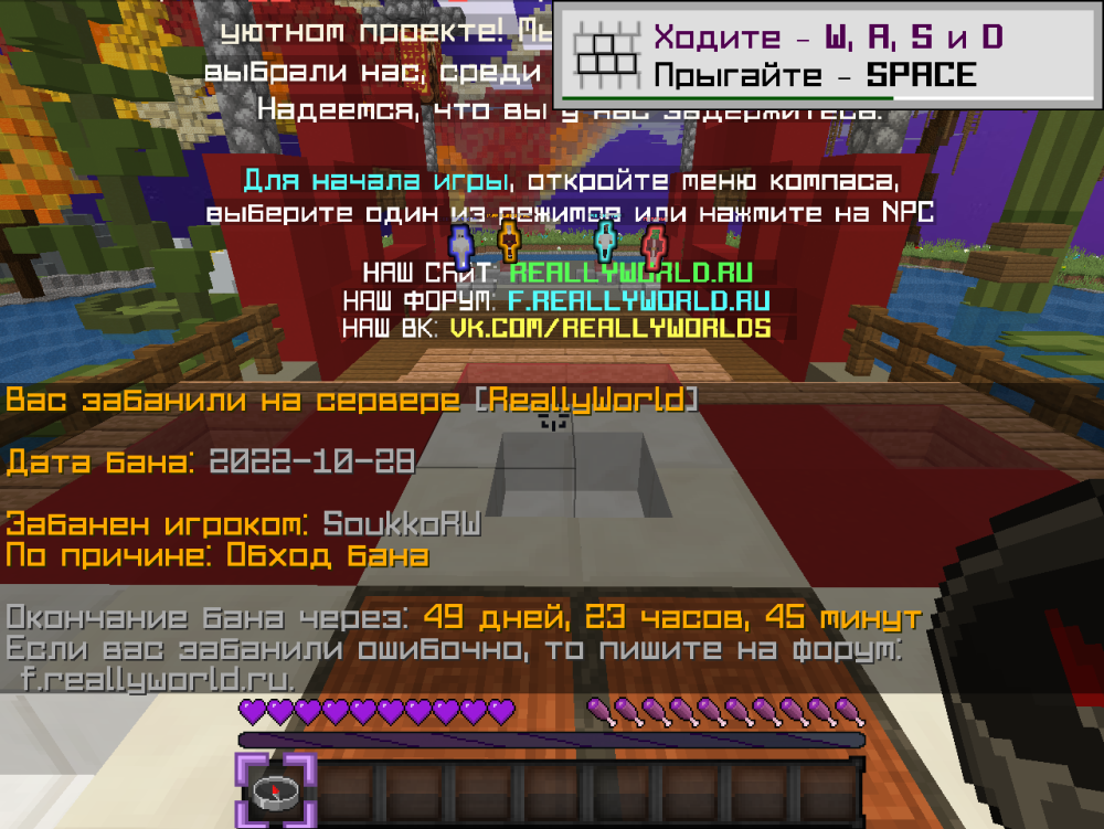 image.thumb.png.ff4ad2882d44dee2a86d4a8b21d2eba9.png