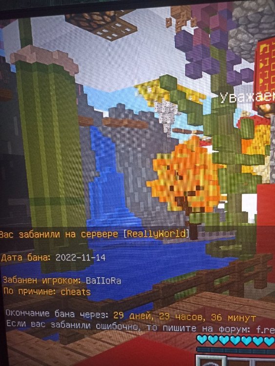 16684541791506012045909750106108.jpg