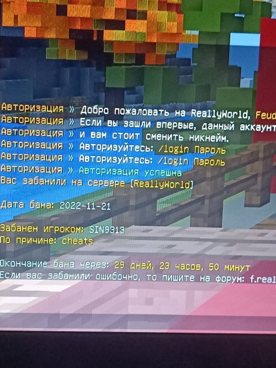 16690448816645674508741310785092.thumb.jpg.f2ae84dea251829331d4413761cab221.jpg