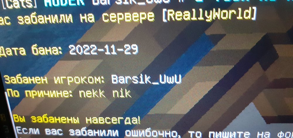 20221129_202603.jpg