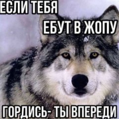 honexbebrik