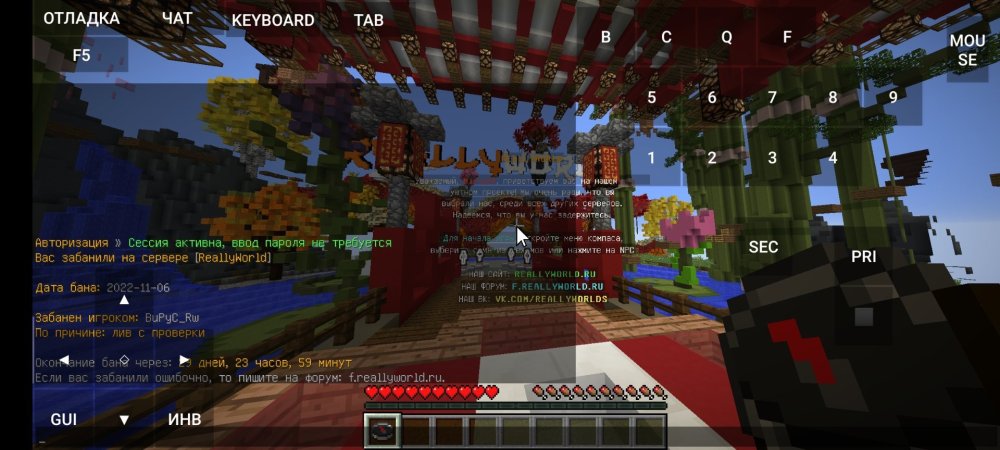Screenshot_20221106-173850_PojavLauncher (Minecraft Java Edition for Android).jpg