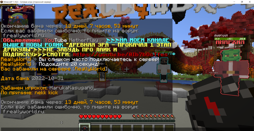 Minecraft__1.16.5_-___01.11.2022_11_02_10.png