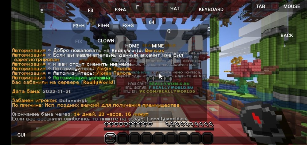 Screenshot_2022-11-21-13-57-12-121_net.kdt.pojavlaunch.debug.jpg