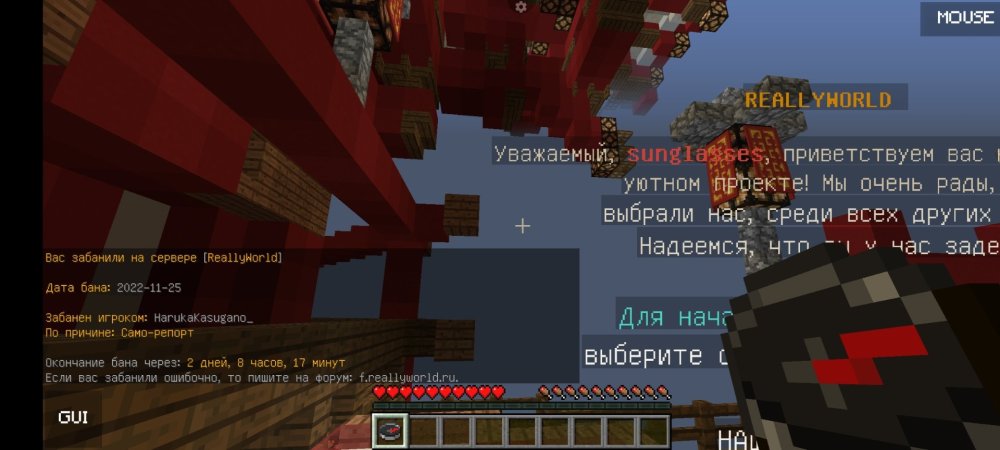 Screenshot_2022-11-26-10-25-16-652_net.kdt.pojavlaunch.jpg