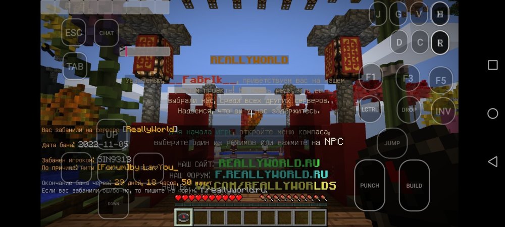 Screenshot_20221106_062838_com.aof.mcinabox.jpg