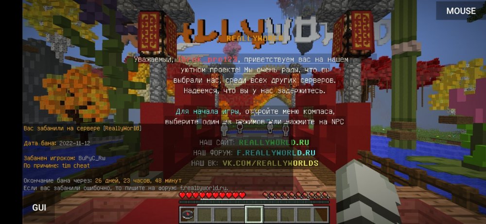 Screenshot_20221112_202100_net.kdt.pojavlaunch.debug.jpg