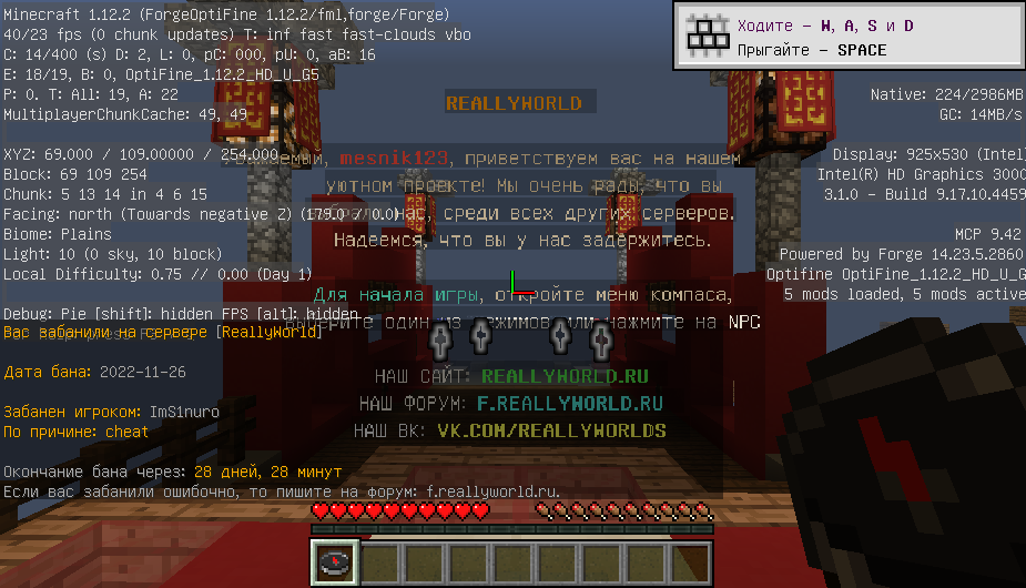 image.png.856e90ee828d14d62a0f95165beda5c5.png