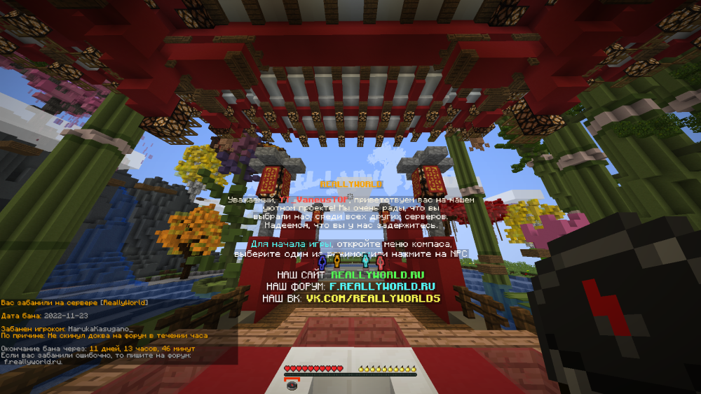 image.thumb.png.09ce392b3db890c4f77ea4f3dfb4622d.png