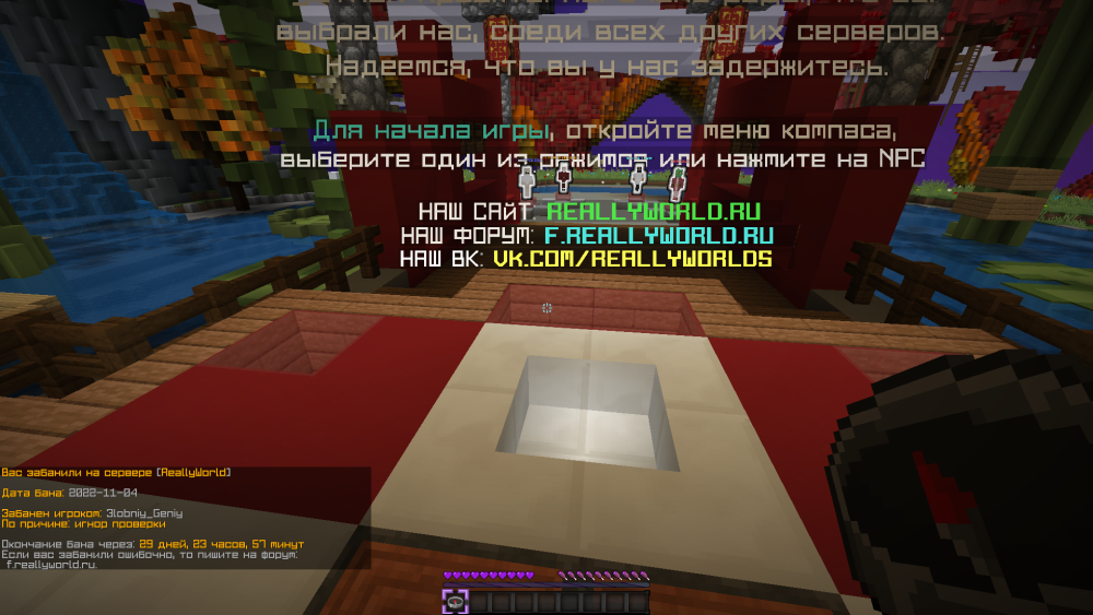 image.thumb.png.e3e52b92b211d8cfd0c2474e1bd37bfa.png