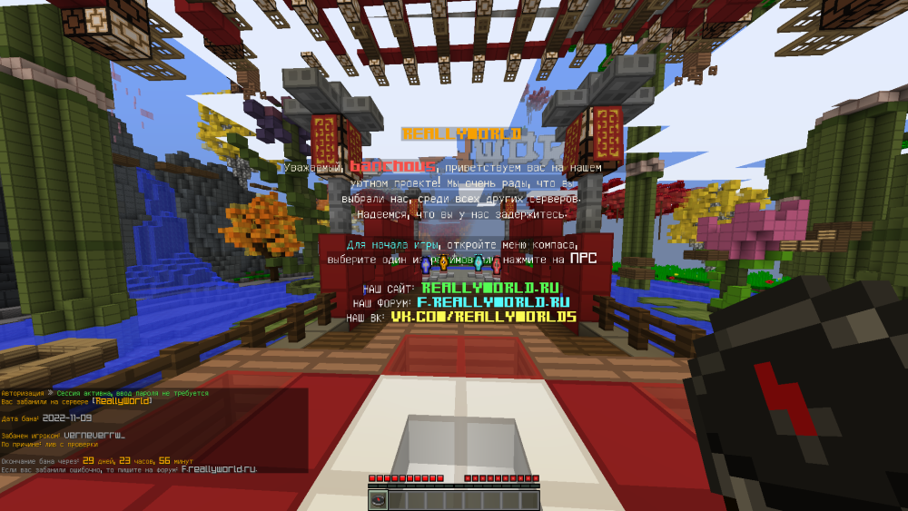 javaw_v3QctsF2Bu.png