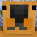 Bolkiw