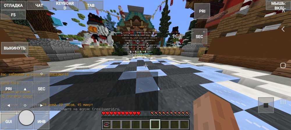 Screenshot_20221207-213211_PojavLauncher (Minecraft Java Edition for Android).jpg