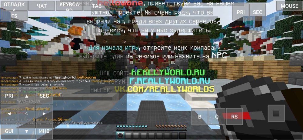 Screenshot_20221230-142304_PojavLauncher (Minecraft Java Edition for Android).jpg