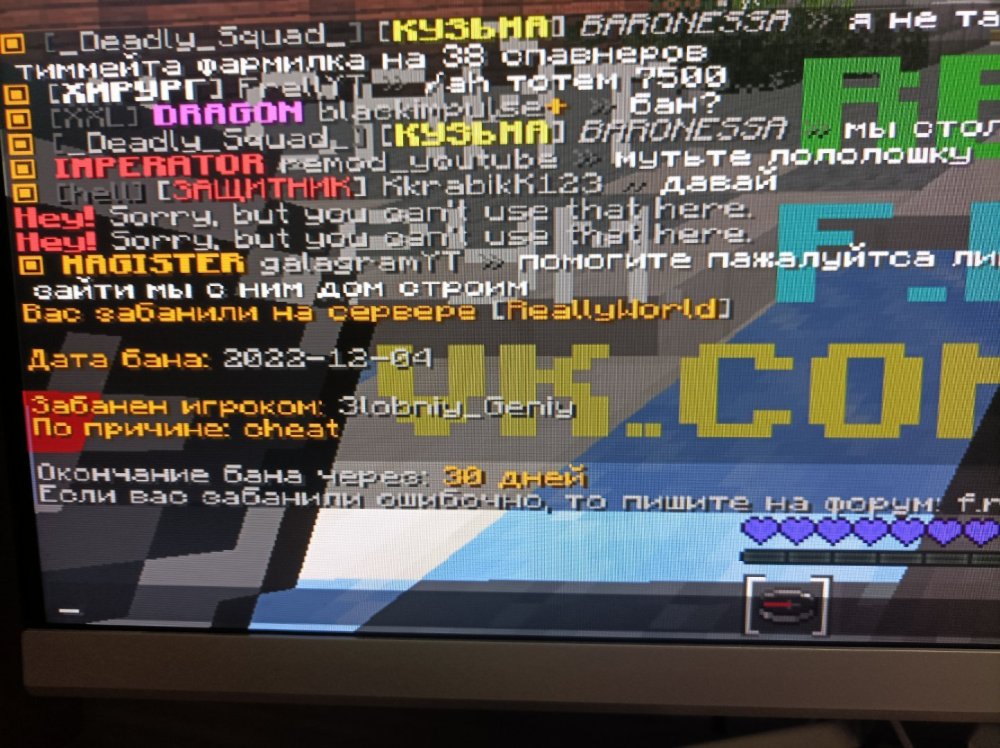 1670171844886..jpg