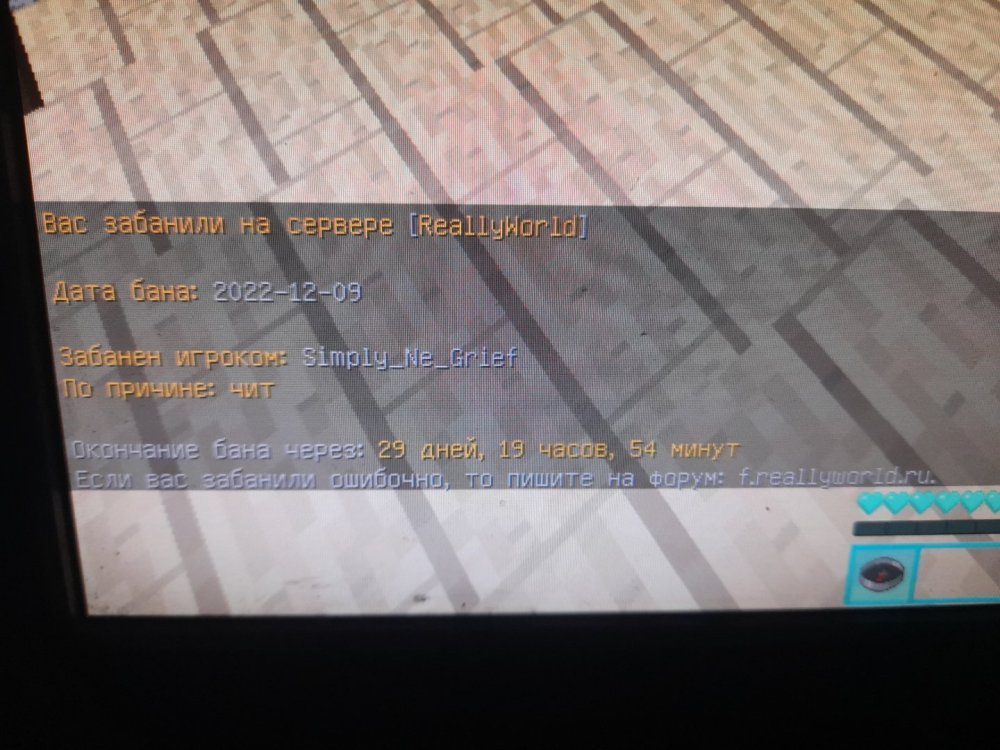 16706056688411693434107450177223.jpg