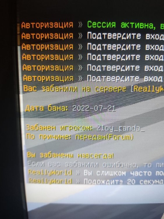 1670770493384..jpg