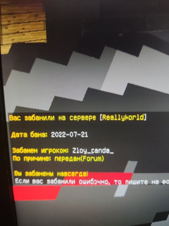 1670770824287..jpg