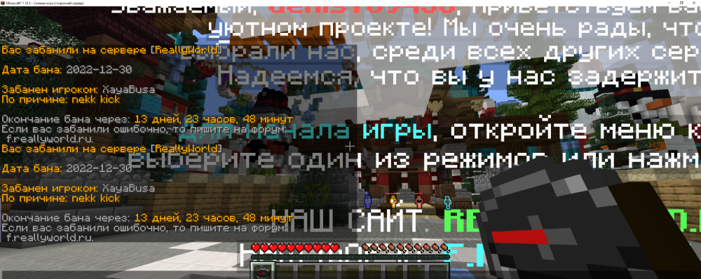 212548425_Minecraft_1_16.5-()31_12.20220_49_11.thumb.png.0694c9b859112f661bc87cbb4565292e.png