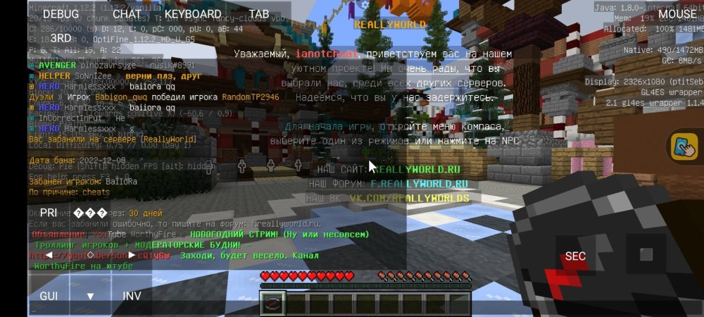 Screenshot_2022-12-08-17-23-39-406_net.kdt.pojavlaunch.jpg