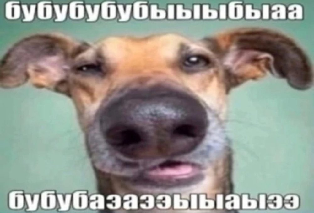 12412412412412412.jpg