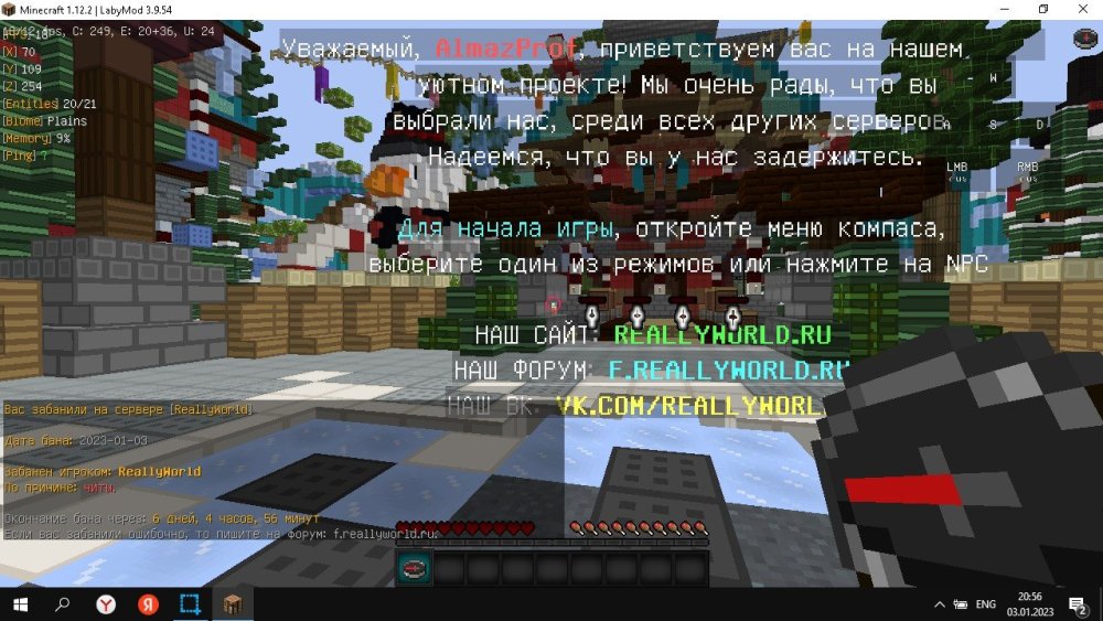 доки.jpg