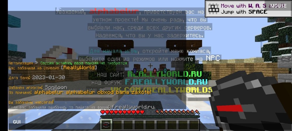 Screenshot_20230131-063456_PojavLauncher (Minecraft Java Edition for Android).jpg