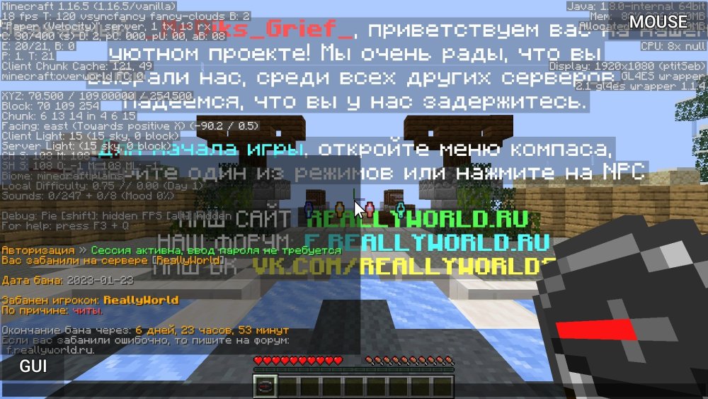 Screenshot_20230123-025627_PojavLauncher (Minecraft Java Edition for Android).jpg