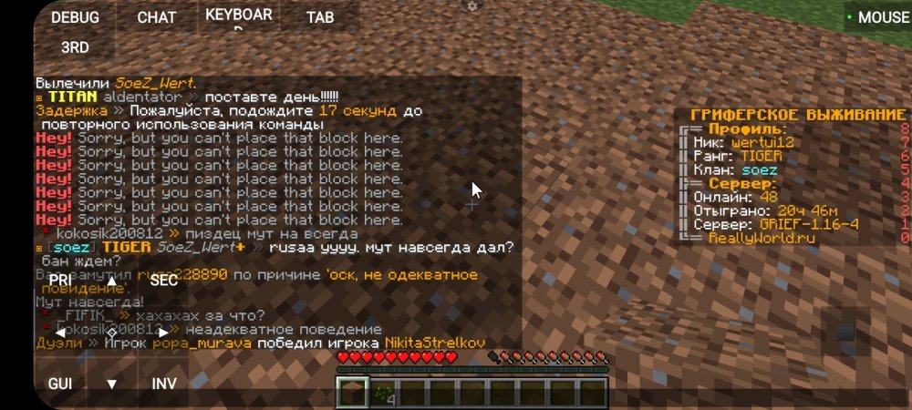 Screenshot_20230104-214630_PojavLauncher (Minecraft Java Edition for Android).jpg