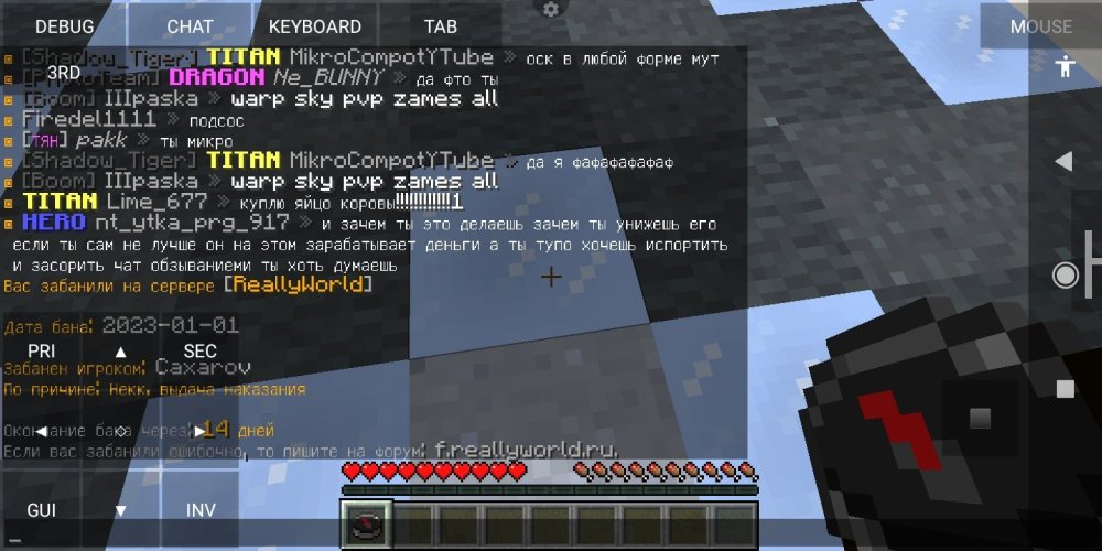 Screenshot_2023-01-01-23-56-27-517_net.kdt.pojavlaunch.jpg