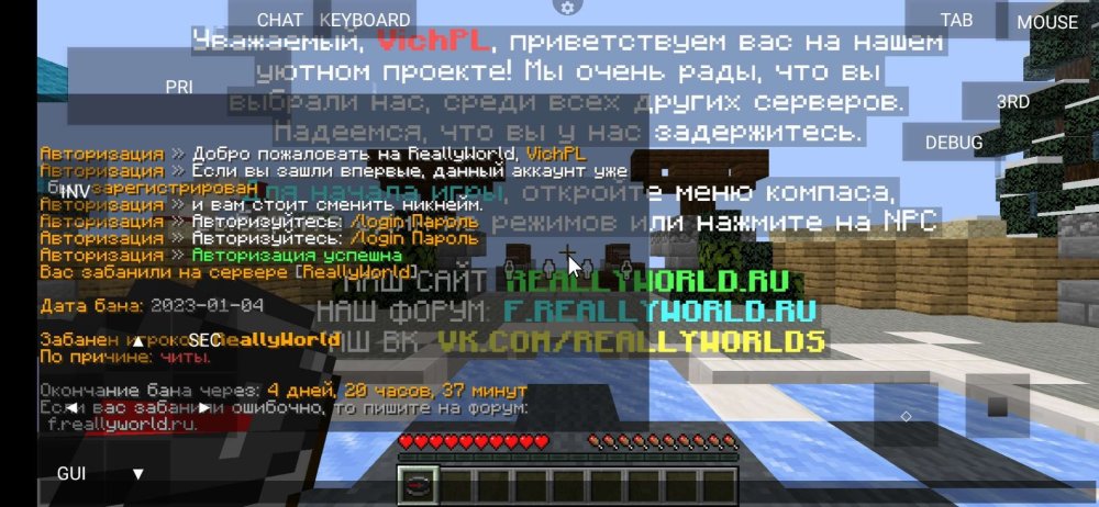 Screenshot_2023-01-06-19-55-31-703_net.kdt.pojavlaunch.jpg