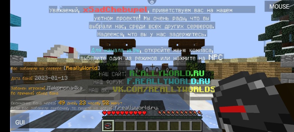 Screenshot_2023-01-13-12-33-14-076_net.kdt.pojavlaunch.jpg