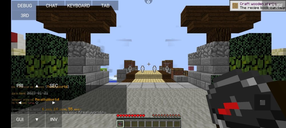 Screenshot_2023-01-21-13-09-01-391_net_kdt.pojavlaunch.thumb.jpg.0fe19bdb7104dbafccbdb52bbb3f6aa0.jpg