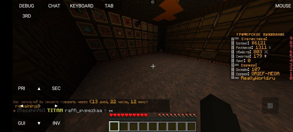 Screenshot_2023-01-23-23-55-03-066_net.kdt.pojavlaunch.jpg