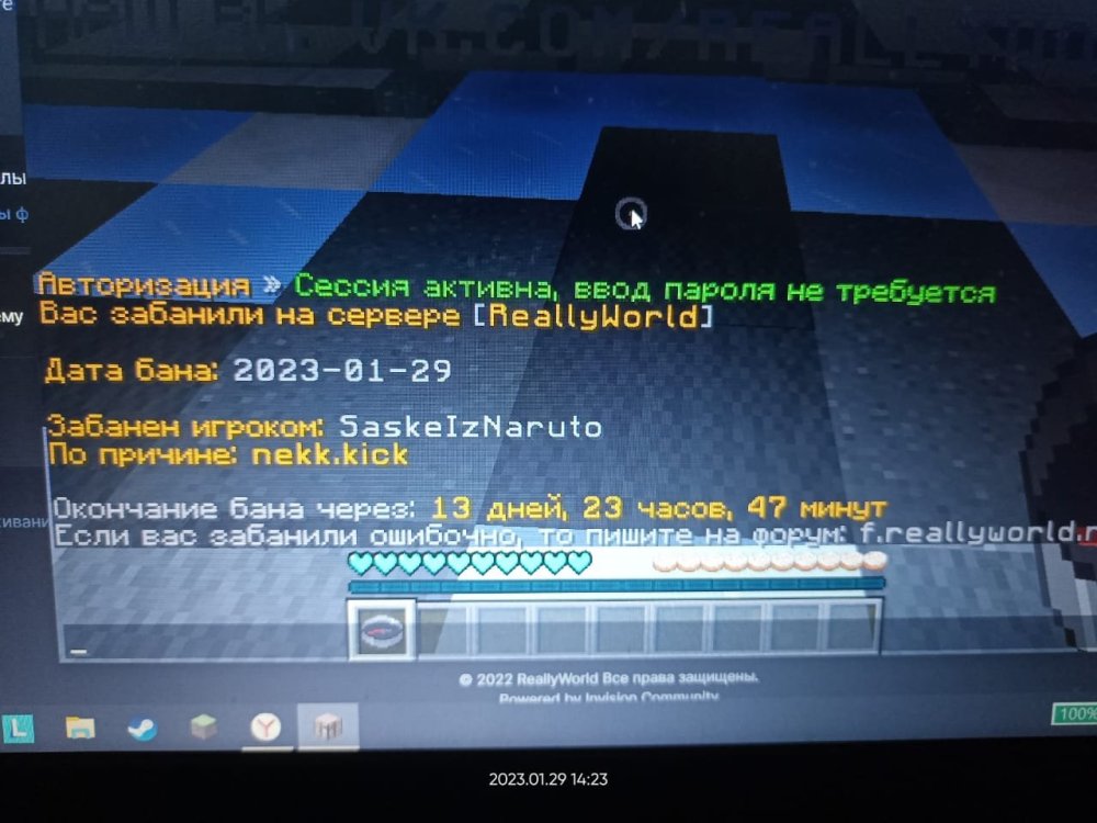 image.thumb.jpeg.339fde6d917474adae42eed5cb5451e9.jpeg