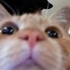 Serega_POOON