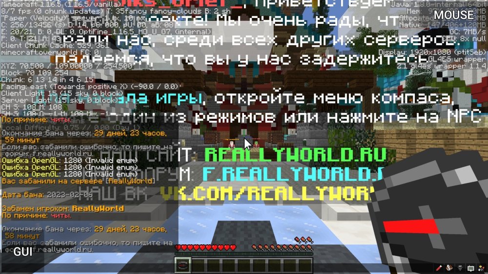 1575357780_Screenshot_20230206-220419_PojavLauncher(MinecraftJavaEditionforAndroid).thumb.jpg.00af06cb9ba8a143458190336a54fa61.jpg