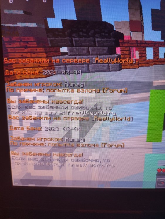 1675531766821..jpg